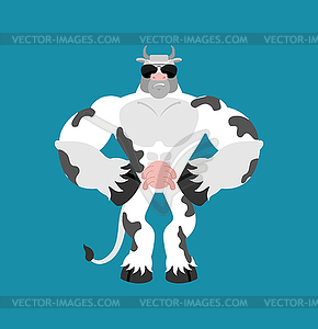 Cow Strong Cool serious. Farm animal strict - vector clip art