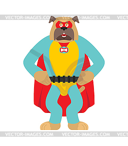 Dog superhero. Super pet in mask and raincoat. - vector EPS clipart