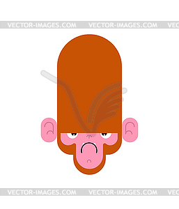 Monkey face angry . Gorilla head - vector image