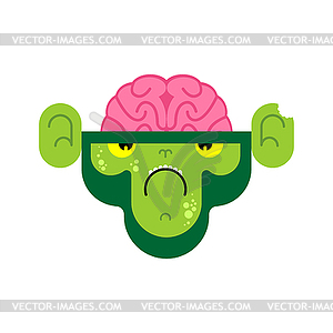 Monkey zombie. Gorilla green Undead - vector image