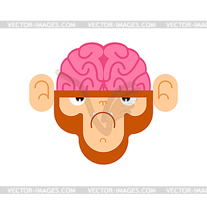 Monkey with brain. Gorilla with brains - vector clipart