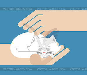 Hands holding cat. Hands stroking pet. Love animal - vector clipart