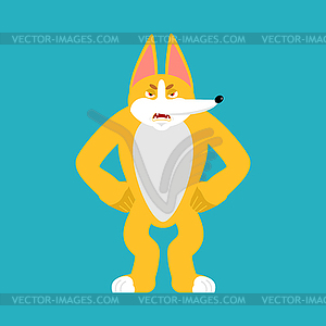 Corgi angry. Dog evil emotions avatar. Pet - royalty-free vector clipart