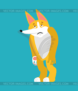 Corgi sad. Dog sorrowful. Pet dull - vector clipart