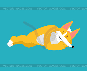 Corgi sleeping. Dog asleep. Pet dormant - vector image