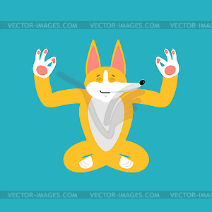 Corgi yoga. Dog syogi. Pet Relaxation and - vector clipart