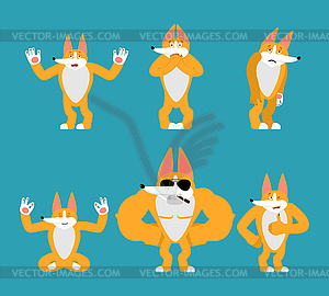 Corgi set poses. Dog happy and yoga. Pet sleeping - vector image