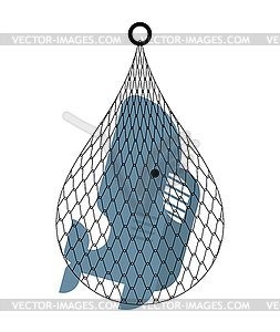 Основные RGBshark in net. Sea predator catch. ill - vector clip art