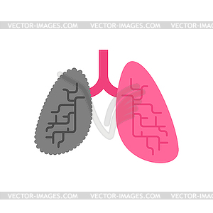 Lungs healthy and Lung smoker. Healthy and Sick - vector image