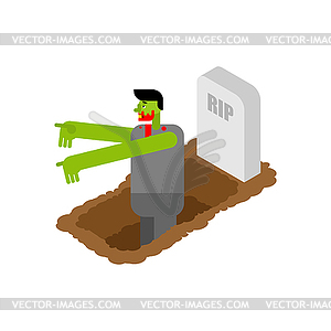 Zombie got up of grave - vector image