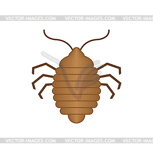 Bed bug . bedbug. chinch - vector image