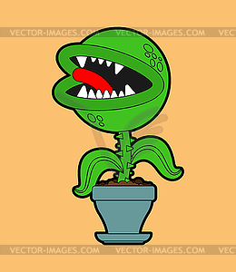 Flytrap in pot. Flower predator Carnivorous plant. - vector image