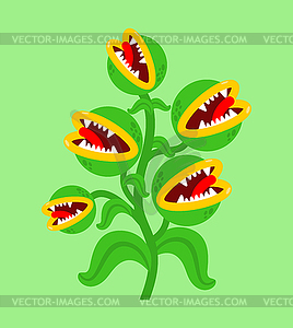 Flytrap monster plant. Flower predator Carnivorous - vector clip art