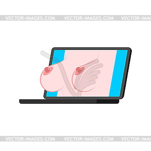 Porn Video Pc - Boobs Erotica on laptop screen. Porn video on pc. - vector clip art