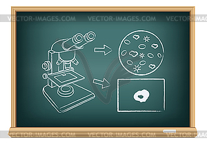 Board blood under a microscope - vector image