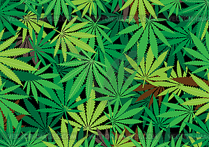 Hemp background - vector image