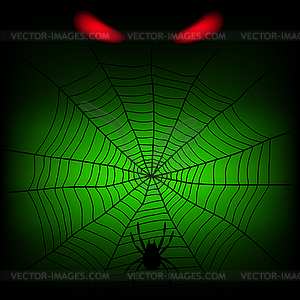 Spider web - vector image