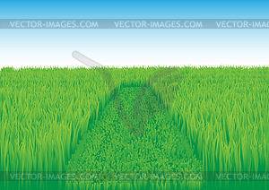 Grass field2 - vector clip art