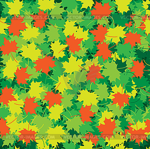 Maple leaves - vector clipart