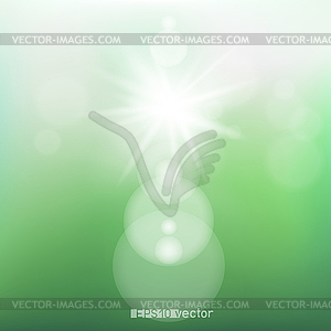 Green spring sunshine light background - vector image