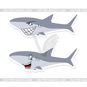 Shark - vector image