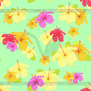 Beautiful hibiscus flower on green. seamless - vector clip art