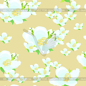 Jasmine flower. seamless - color vector clipart