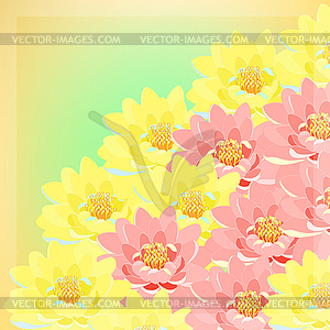 Card with flowers lotus pink, blue, yellow - vector clipart