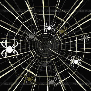 Colored spider on spider web pattern on dark - vector clipart