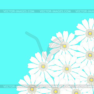 Greeting card with camomile on blue background. - vector clipart