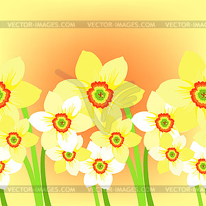 Daffodils meadow flower on stalk at sunset. - vector clipart