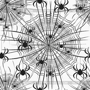 Pattern seamless spider on web - vector image