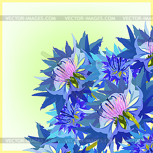 Postcard cornflower of wild flowers - vector clipart