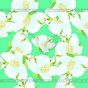 Seamless pattern - grid with jasmine on green - vector clipart