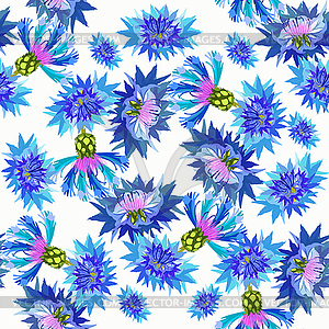Бесшовные модели полевые цветы василек - векторное изображение клипарта