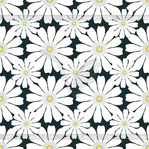 Seamless pattern with camomile on dark background. - vector image