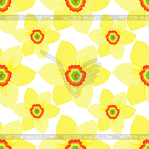Seamless pattern with daffodils flower macro. - vector image