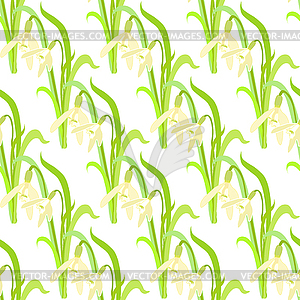 Seamless pattern with snowdrops - vector clipart