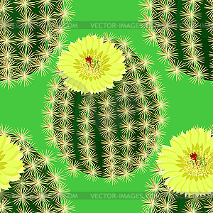 Seamless pattern with cactus flower yellow spain. - royalty-free vector clipart