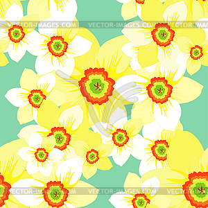 Nahtlose Muster Mit Narzisse Blumenwiese Vector Clipart Vektor Bild