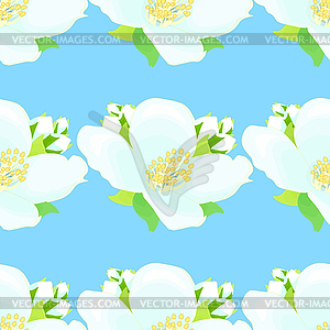 Seamless pattern with jasmine on blue background. - vector clipart