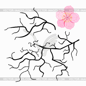 Set of Japanese cherry branches - vector clipart