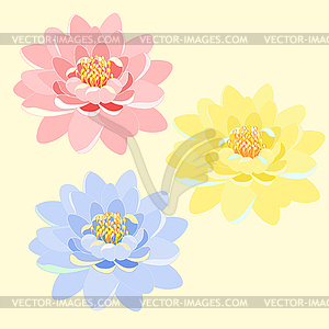 Set of lotus flower pink, blue, yellow, . illustr - vector clipart