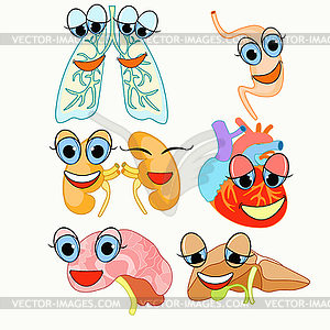 Set with cartoon human organs - vector clipart