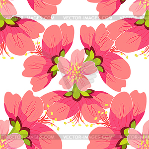 Seamless pattern of blossoming cherry Japanese and - vector image