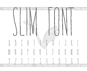 Simple decorative font handwritten, slim alphabet - royalty-free vector image