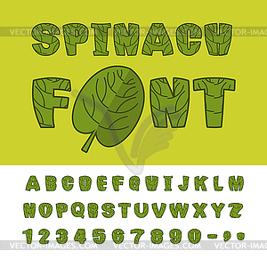 Spinach font. Useful Herbs alphabet. Green lettuce - stock vector clipart