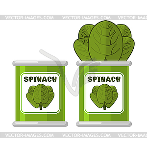 Spinach in tin. Useful Herbs. Green lettuce - vector image