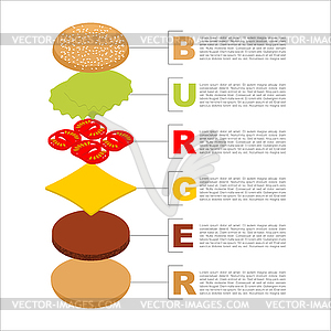 Burger infographics. Structure of hamburger - vector image