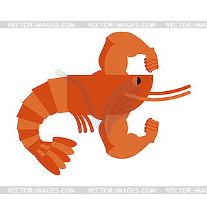 Strong athlete shrimp. Powerful athlete plankton. - vector clipart